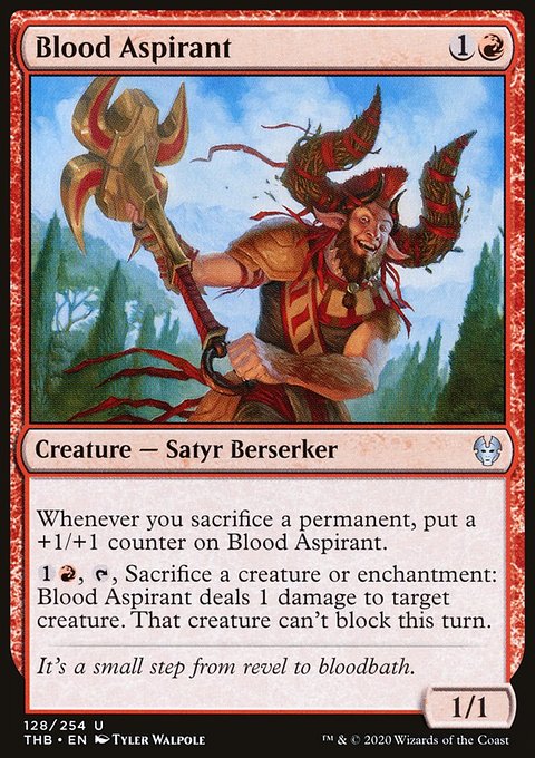 Blood Aspirant